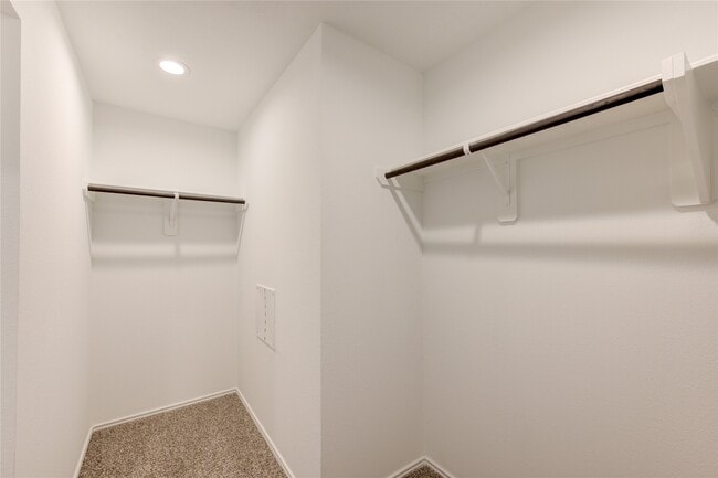 Building Photo - 24434 Elmwood Falls Dr