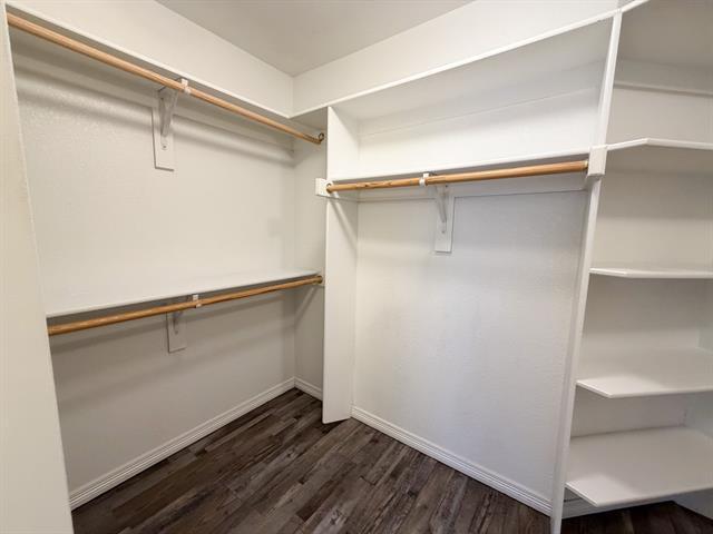 Building Photo - 708 Nandina Way