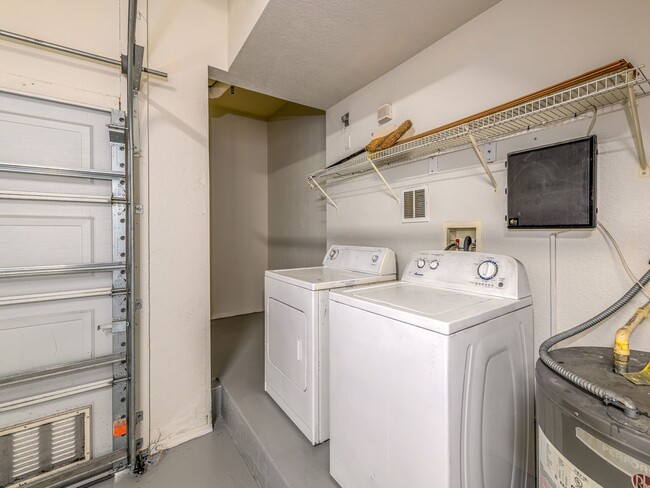 Building Photo - South Tampa