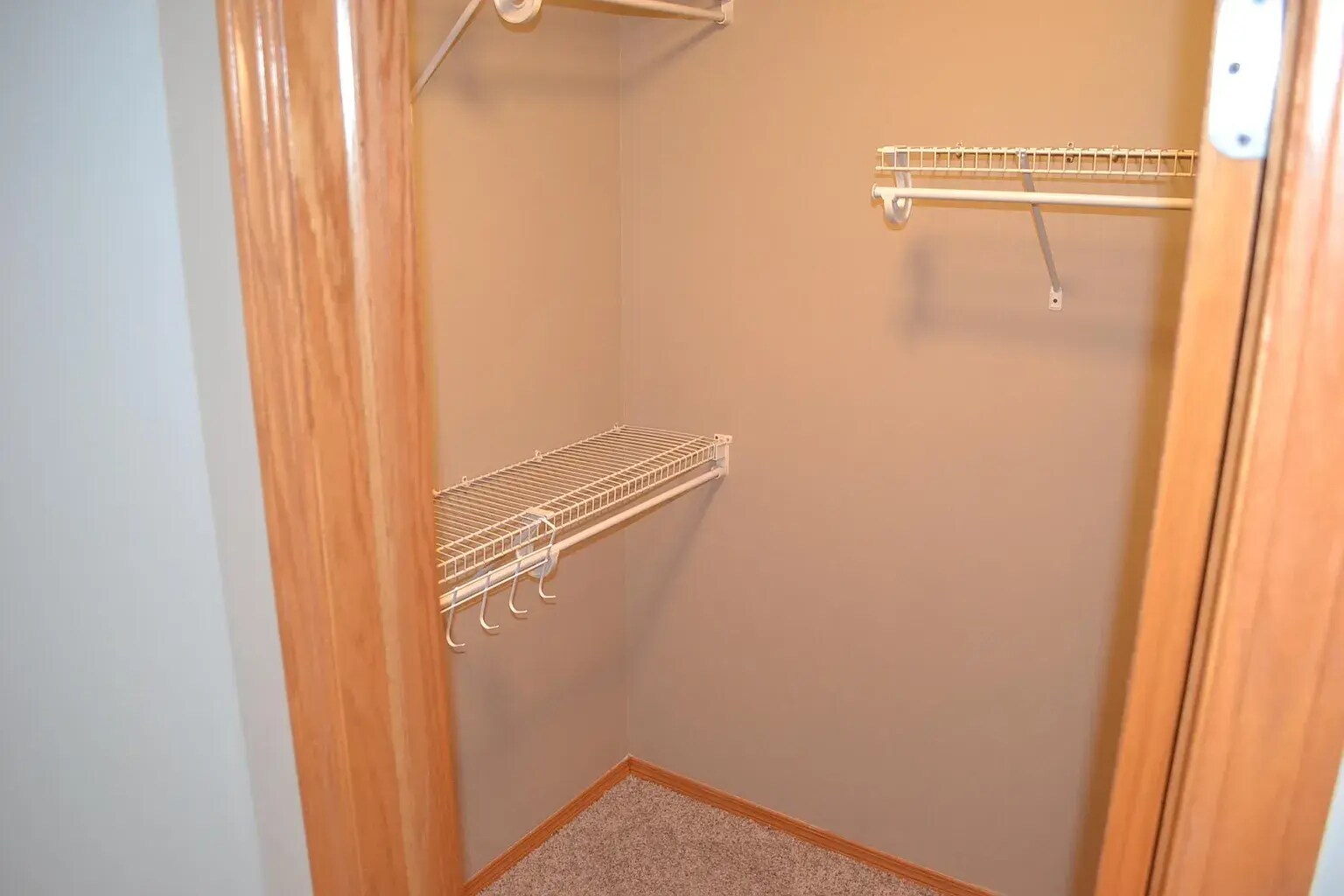 Building Photo - 6022 E Ironhorse Cir