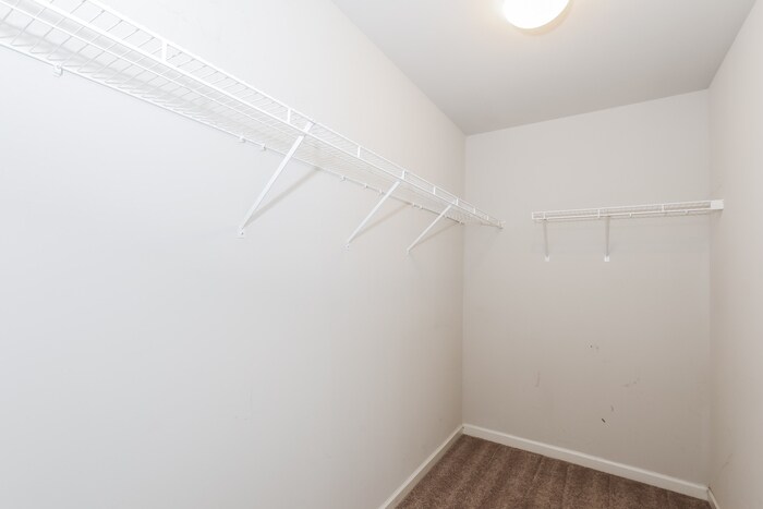 Building Photo - 1956 Old Dogwood