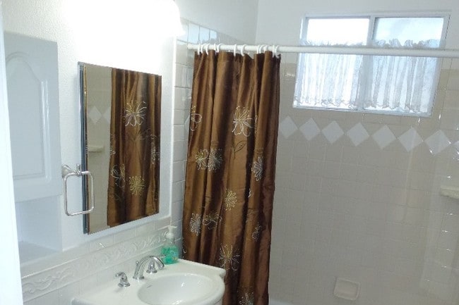 Full Hall Bathroom - 820 Alabama St