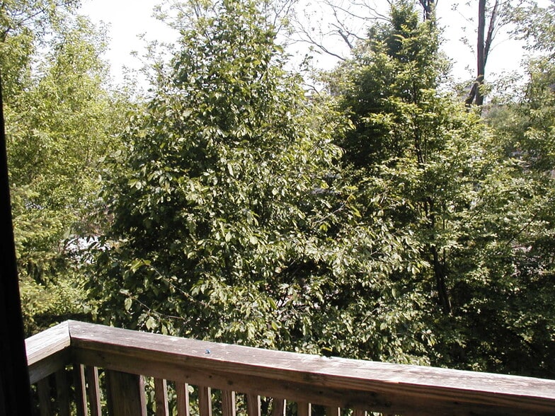 back balcony view - 293 Hiscock St