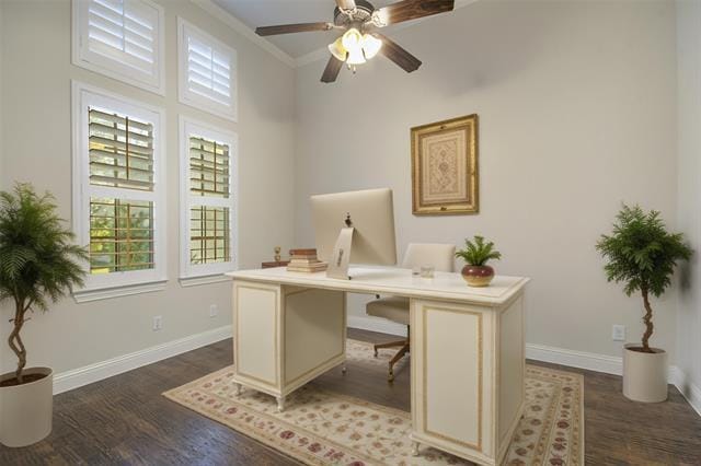 Building Photo - 904 Snyder Dr