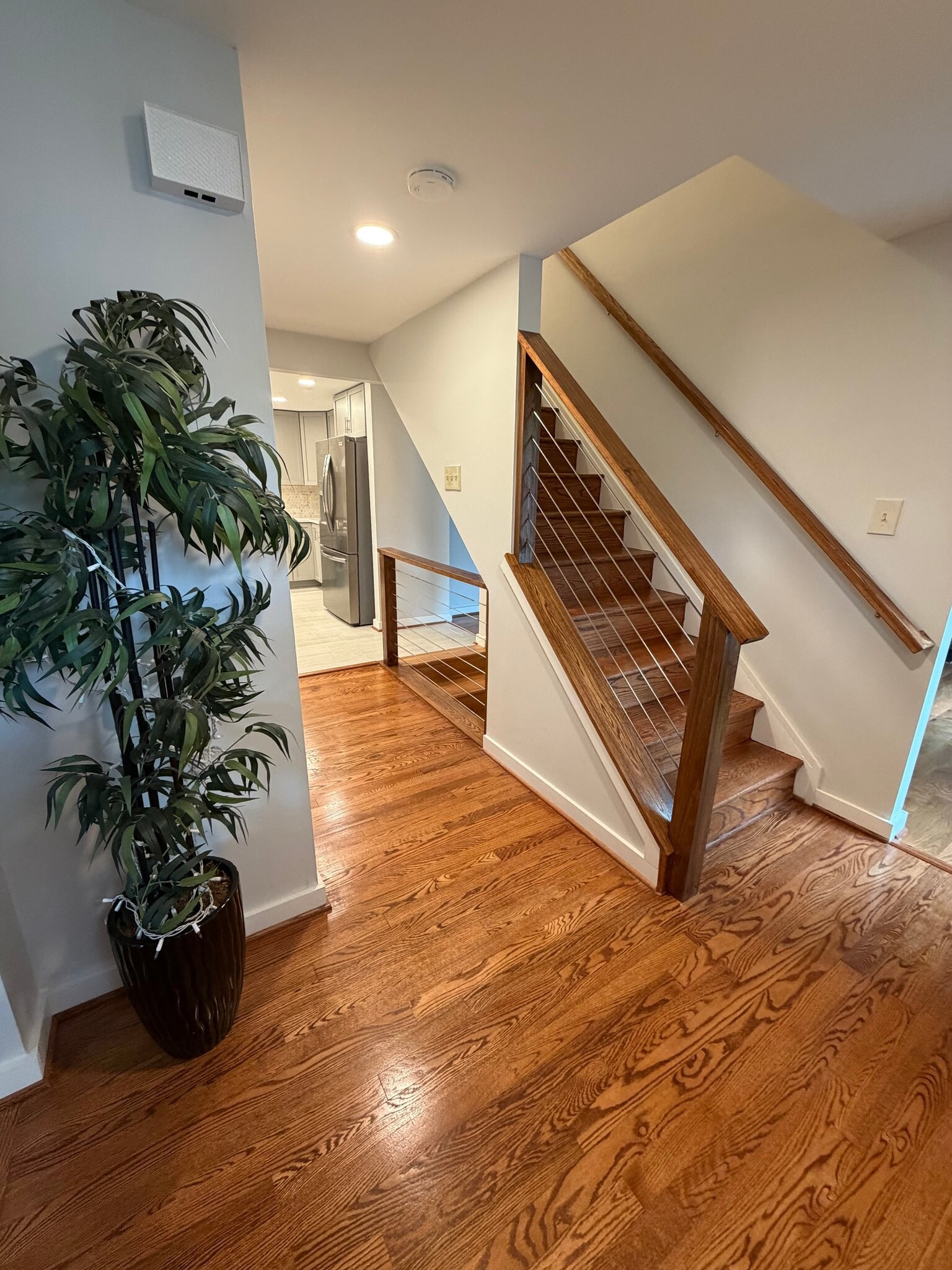 Building Photo - 2283 Dosinia Ct