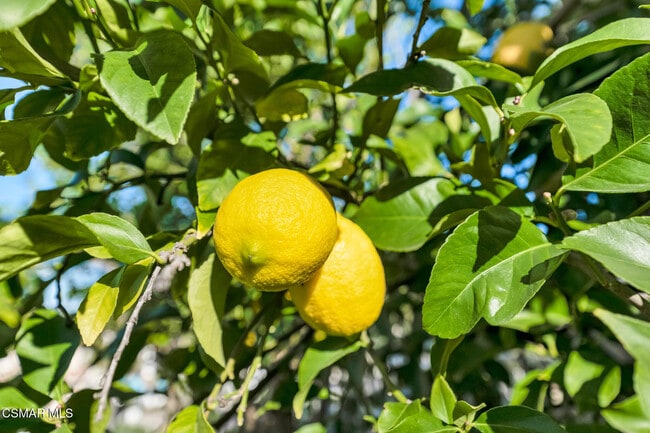 Building Photo - 24739 Vía Madera
