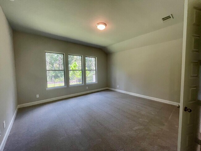 Building Photo - 151 Harlequin Duck Ct