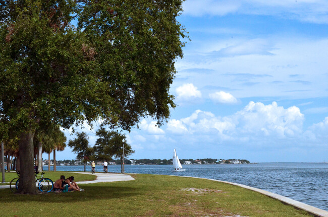 Walk to Northeast park and see manatee or dolphins! - 236 6th Ave N