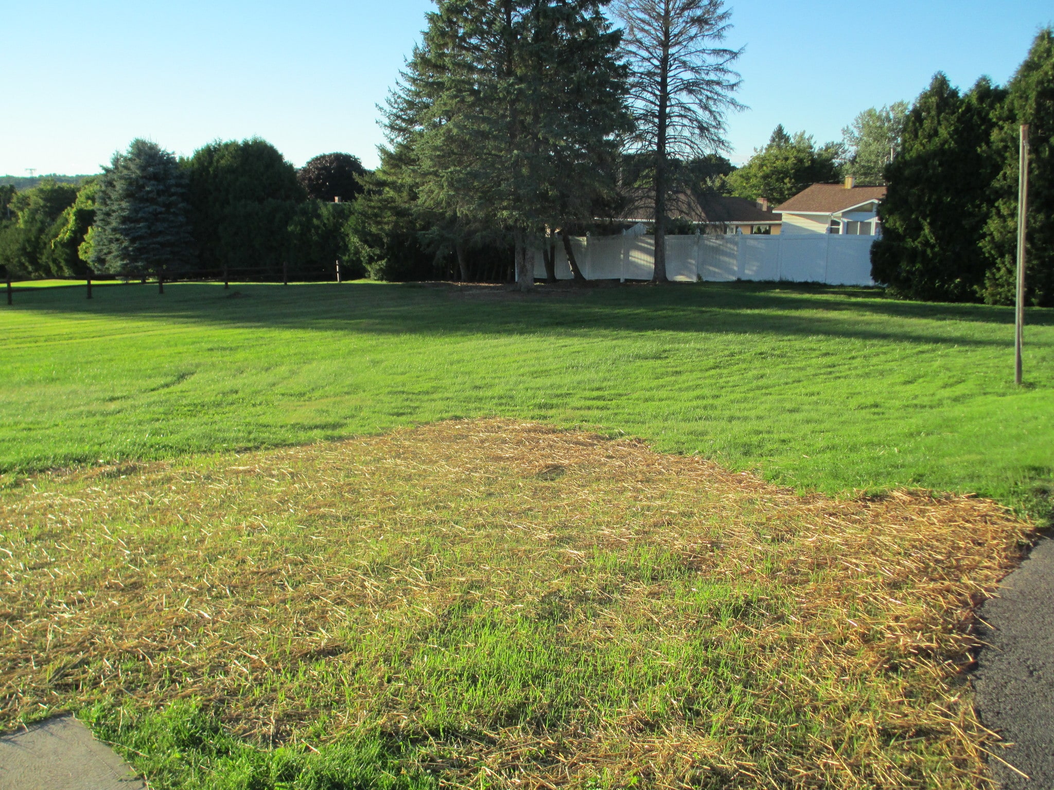 Spacious Yard - 89 Burrstone Rd