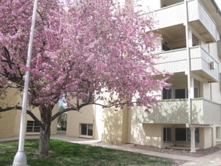 Building Photo - 3035 Oneal Pkwy