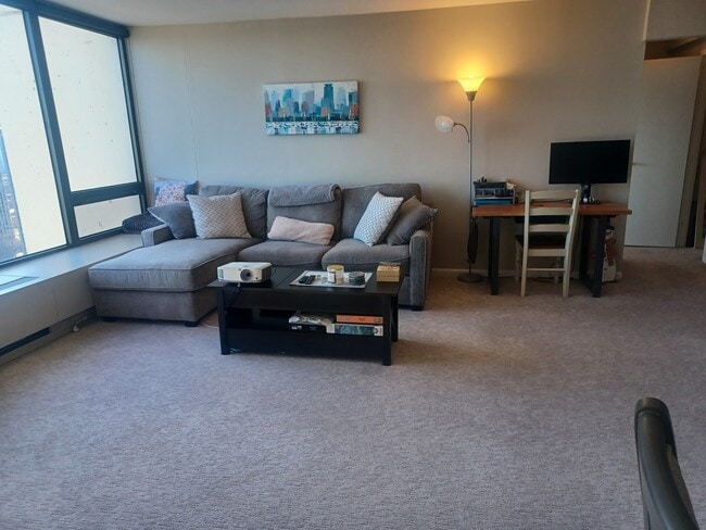 Building Photo - 2800 N Lake Shore Dr