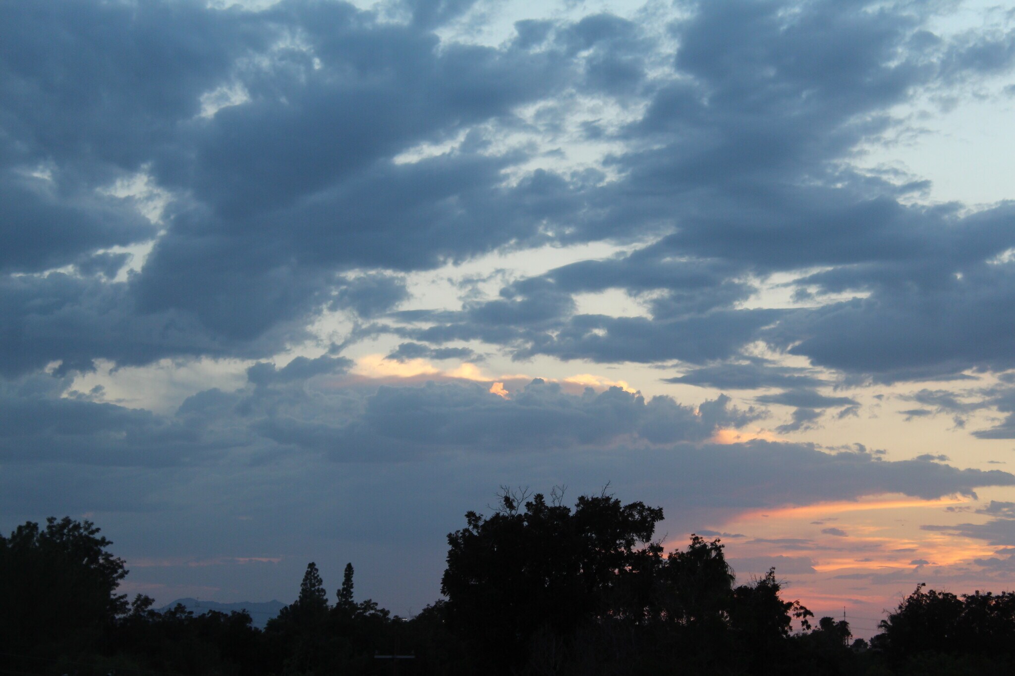 Building Photo - 10401 N Saguaro Blvd