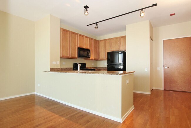 Building Photo - West Loop Beautiful 1b unit