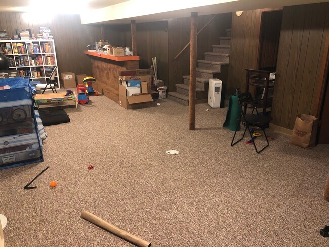 Finished basement - 306 S Franklin St