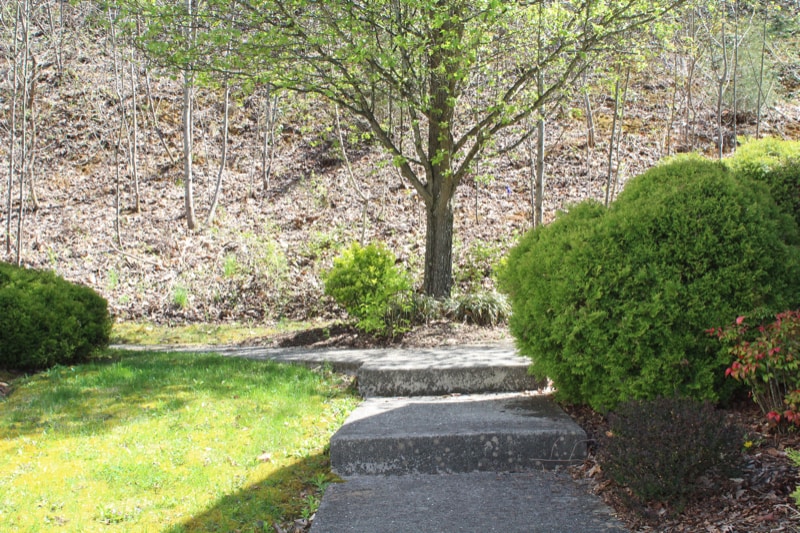 Building Photo - 308 Car-Mol Dr