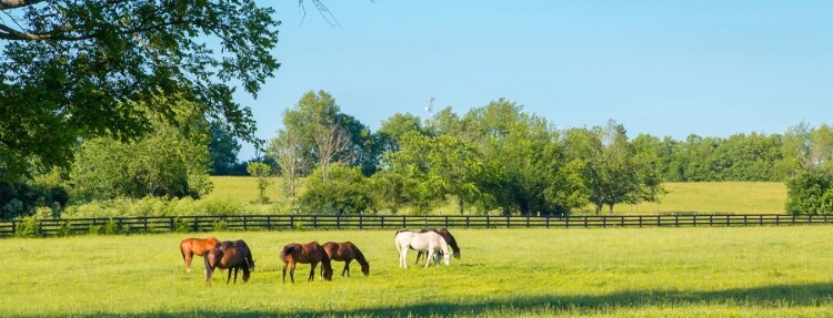 Building Photo - 16385 Hwy D