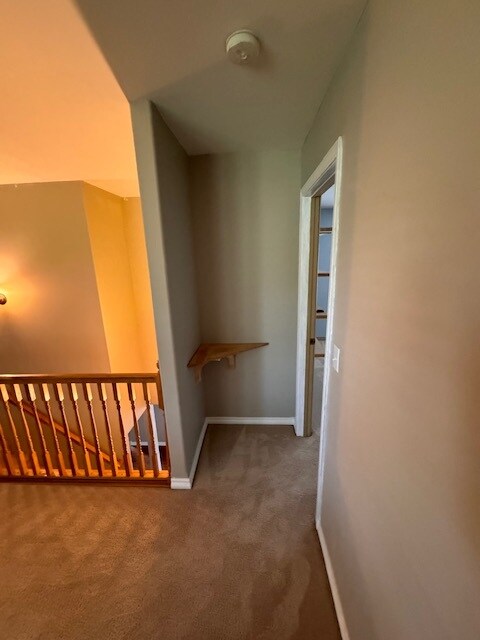 Building Photo - 415 Louis Ln