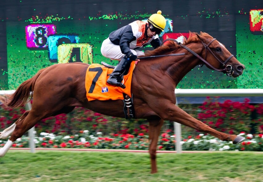 Building Photo - 313 S Rios Ave