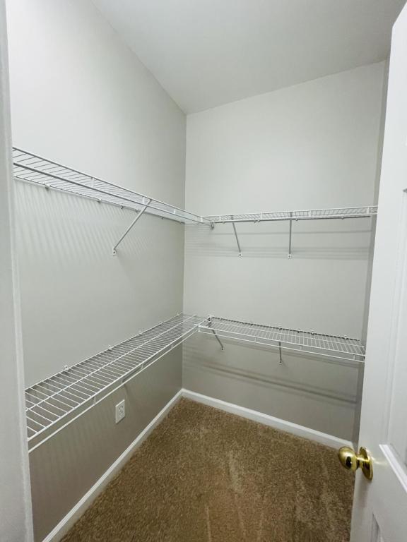 Building Photo - 156 Largess Ln