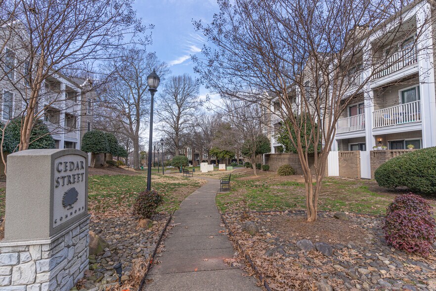 Street View of Common Area - 244 S Cedar St