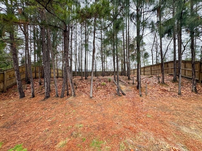 Building Photo - Charming 3 Bed 2 Bath Home in Jack Britt