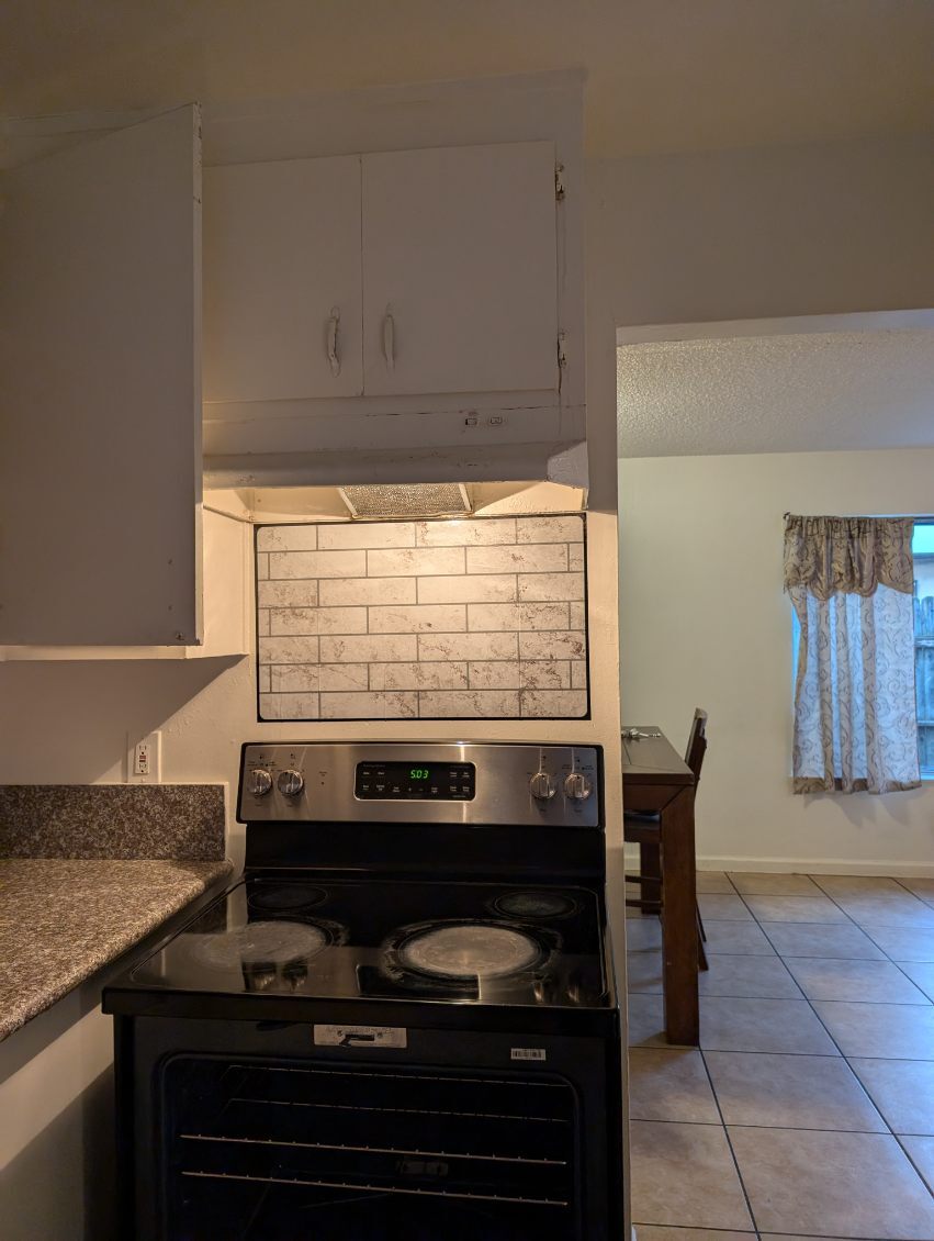 Downstairs kitchen and living room too - 251 Coventry Dr