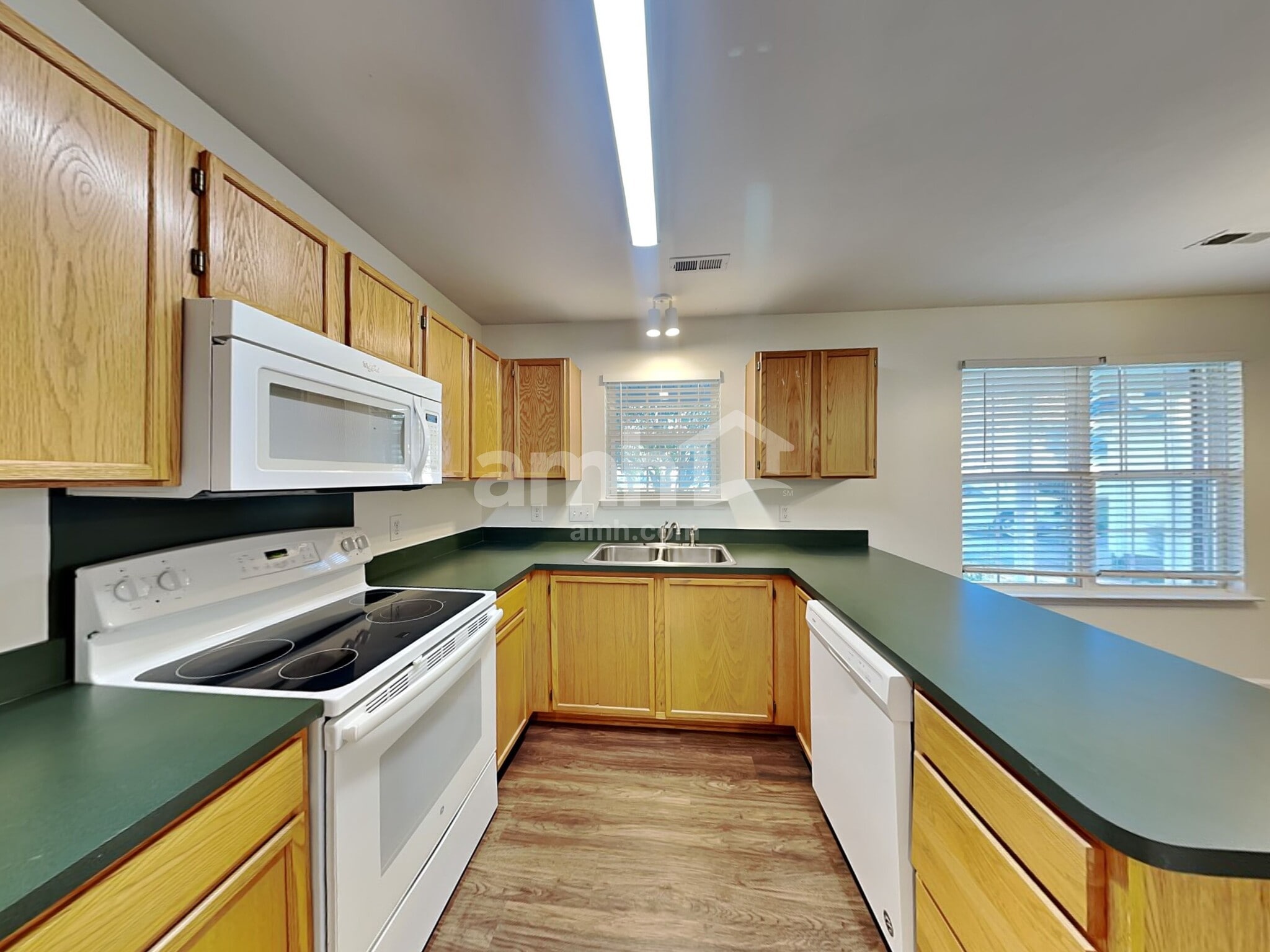 Building Photo - 4206 Yaupon Ct