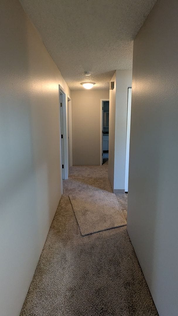 Building Photo - ANNETTE342-344