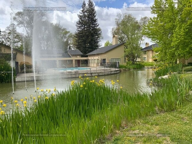 Building Photo - Single level condo in one of the nicest developments in Bennett Valley