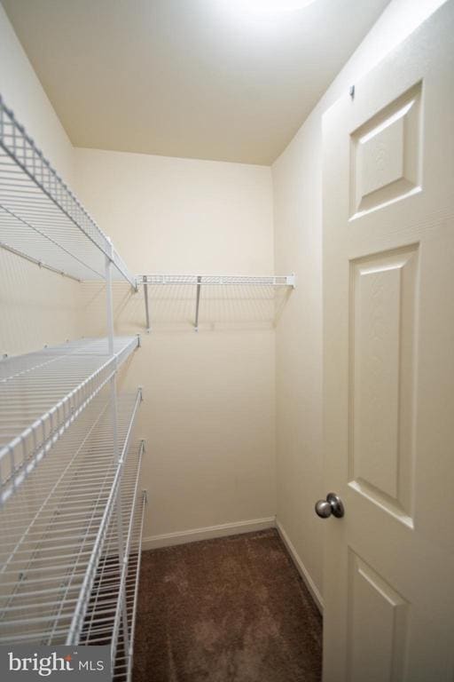 Building Photo - 8024 Cayzer Ln