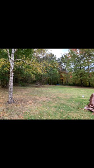 Backyard - 3507 Reichert Rd