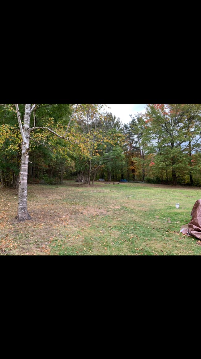 Backyard - 3507 Reichert Rd