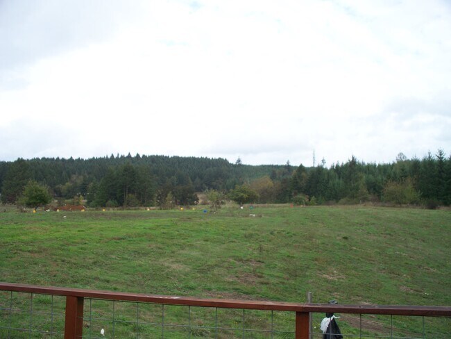 View from deck - 26901 Pickens Rd