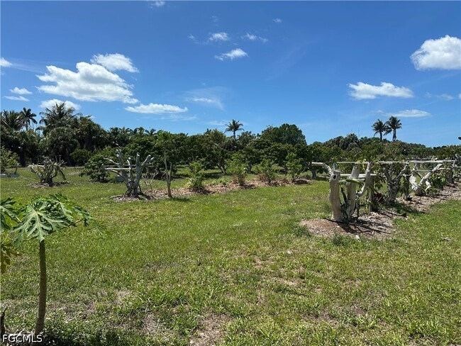 Building Photo - 13098 Ficus Tree Ln