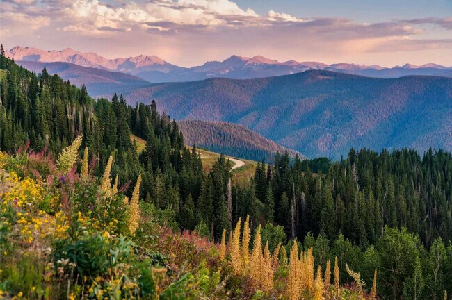 Building Photo - 55 Upper Woodbridge Rd