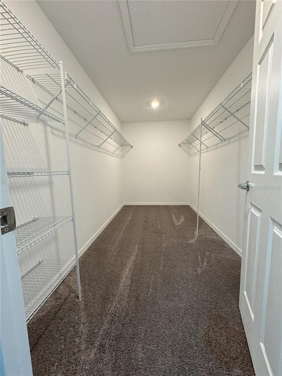 Building Photo - 3370 Beaute Dr