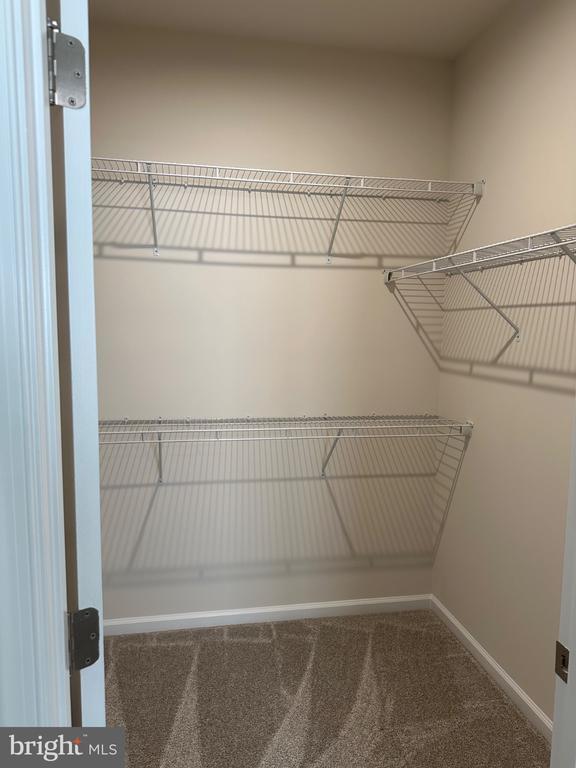 Building Photo - 4908 Dunhaven Dr