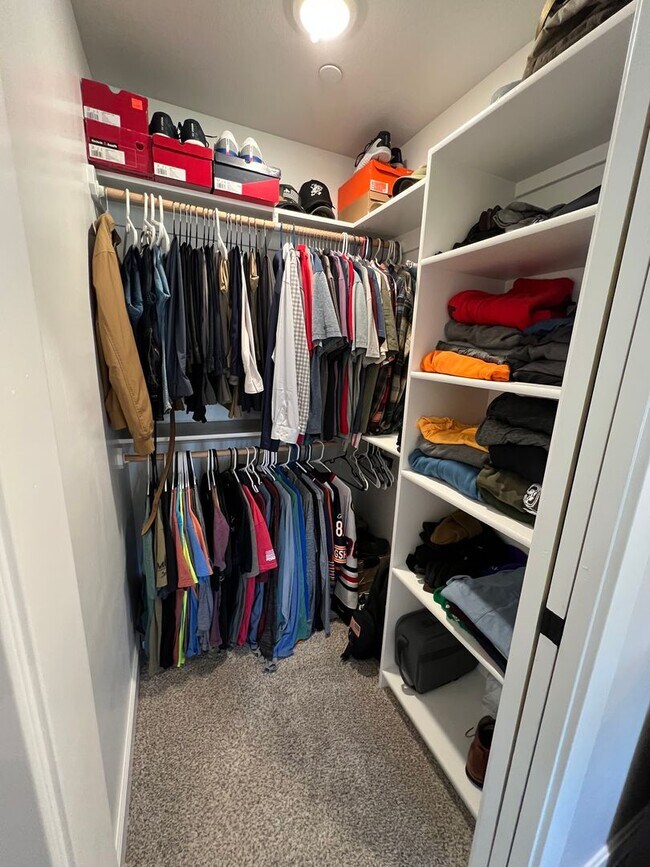 Building Photo - Modern Single-Family Home in Scenic Meadows Neighborhood