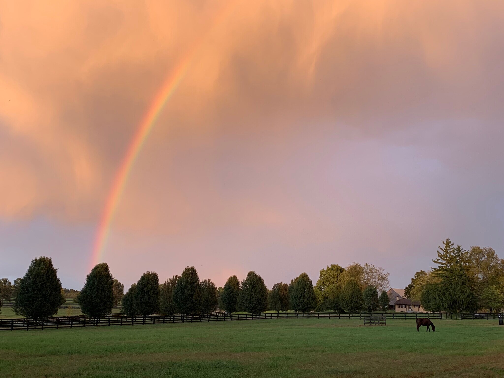 Building Photo - 2900 Newtown Pike