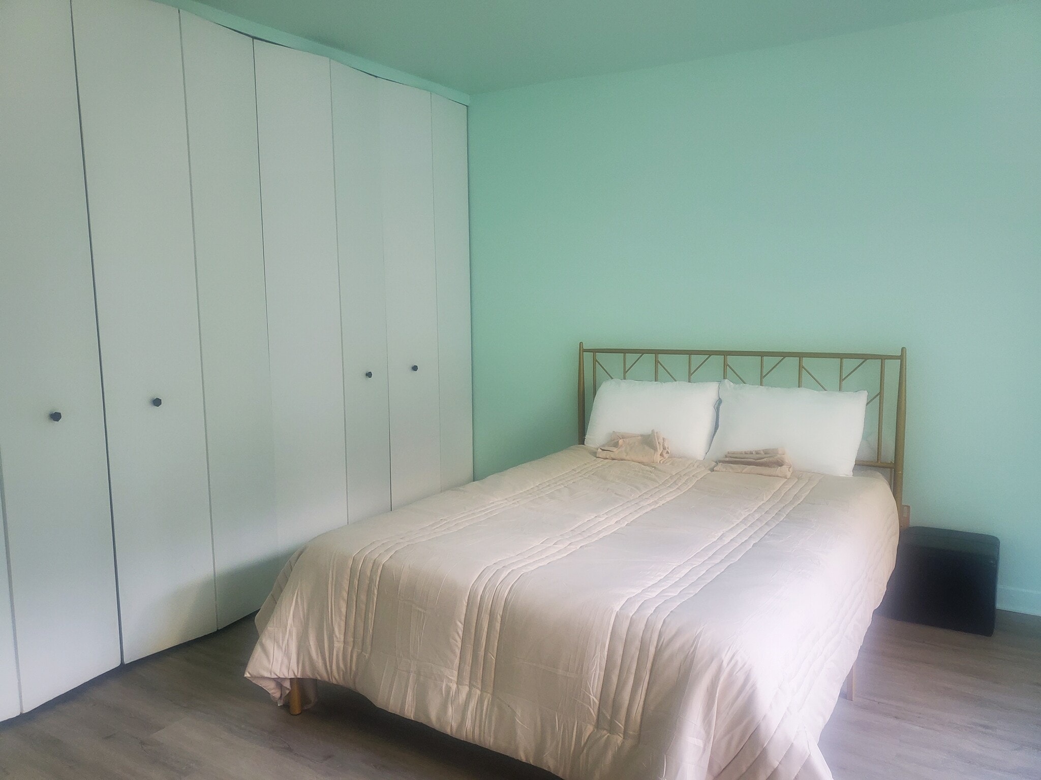 Bedroom - Wall to Wall Closet Space - 535 N Michigan Ave