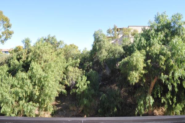 View off of balcony - 8085 Caminito de Pizza