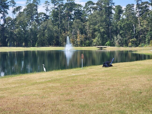 Building Photo - 613 Royal Arch Dr