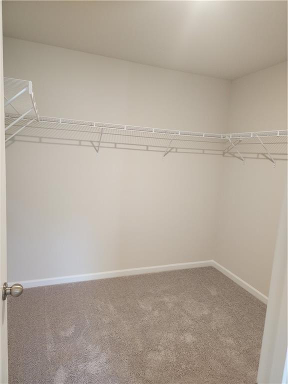 Building Photo - 2822 Saratoga Lake View