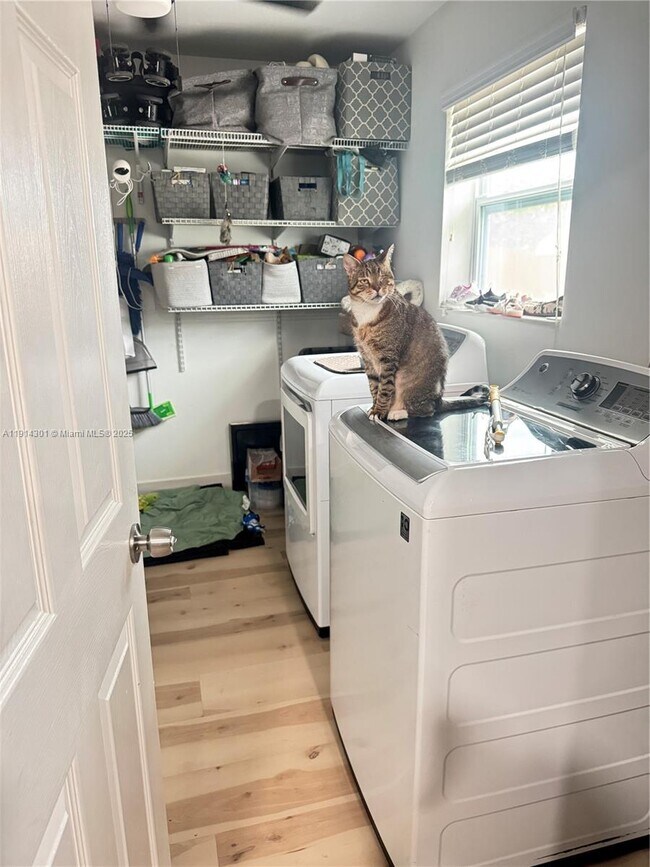 Building Photo - 3807 Hayes St