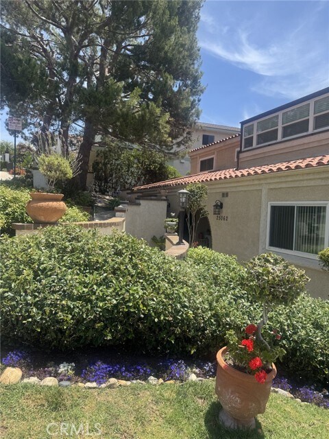 Building Photo - 25062 Alicia Dr