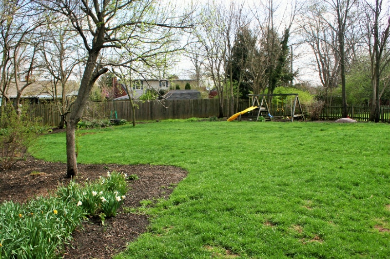 Building Photo - 249 Greenbriar Rd