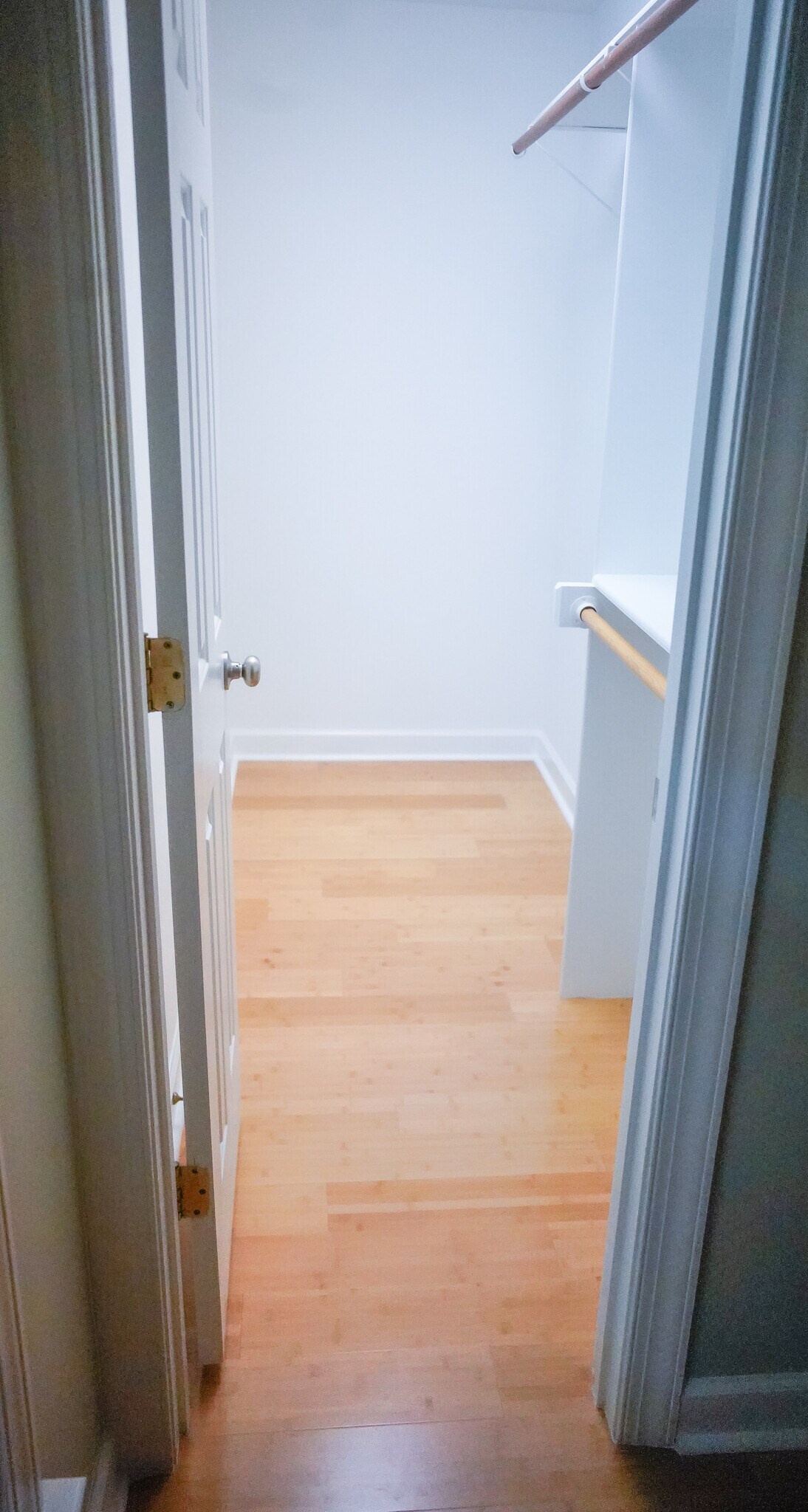 2nd bedroom closet - 3801 Lake Point Cir