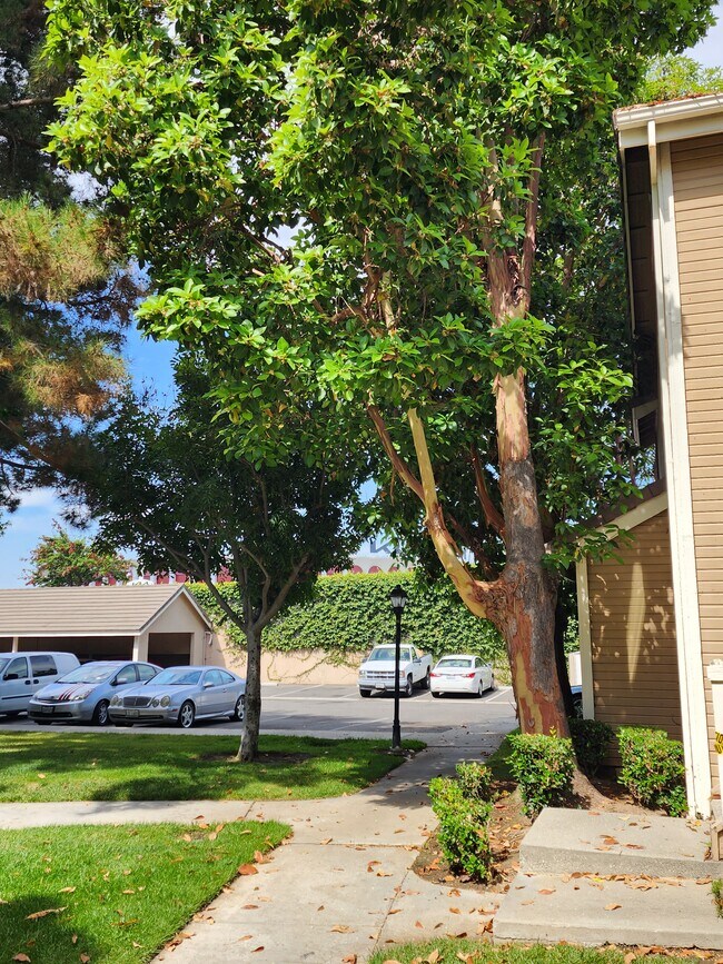 Building Photo - 8712 Endsleigh Ave