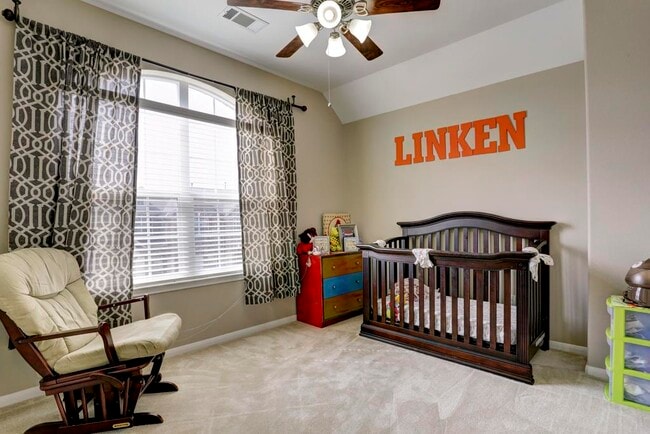 Building Photo - 9110 Solvista Pass Ln