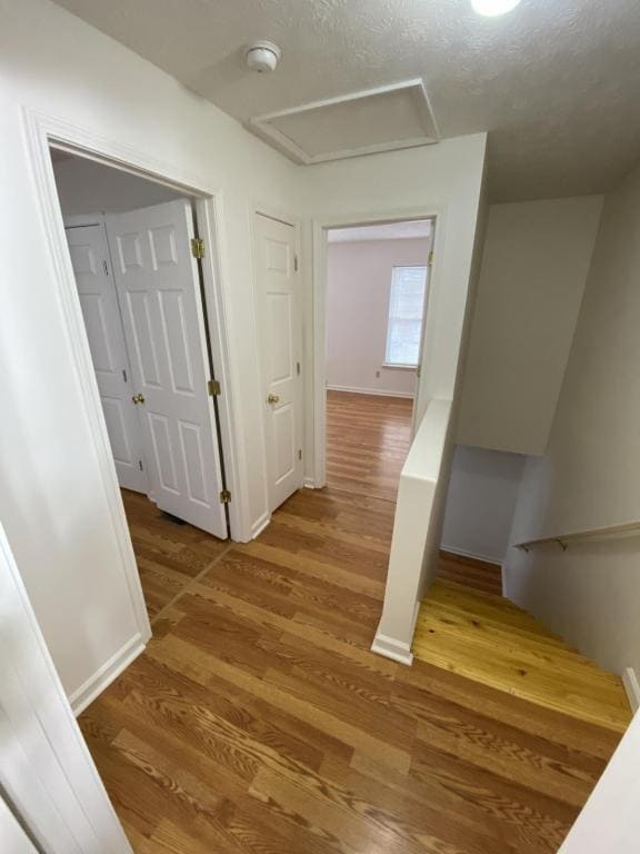 Building Photo - 427 Sara Leigh Dr